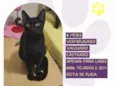 FaÃsca