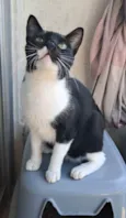 LORD