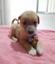 Lucky