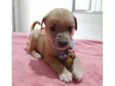 Lucky