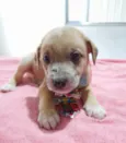 Lucky