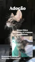 Chica