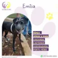 EmÃlia