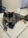 Greta