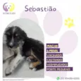 Sebastiao