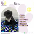 Eric