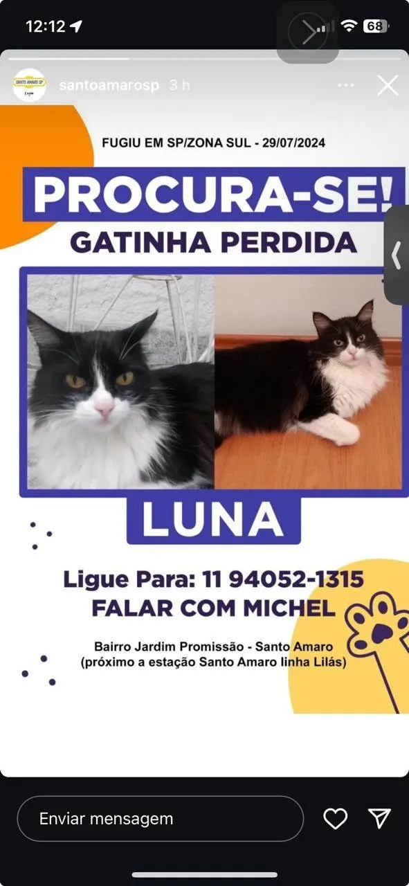 Gato ra a SRD-ViraLata idade 6 ou mais anos nome Luna