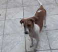 ESTRELA