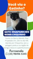 Chiquinho 