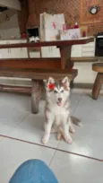 Zeus