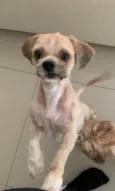 Kobe (ou o de sua escolha)