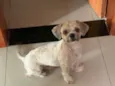 Kobe (ou o de sua escolha)