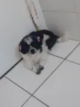 Melody