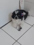 Melody