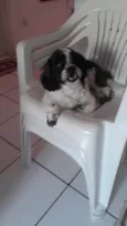 Melody