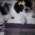 Melody