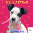 Dyana