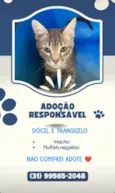 Áries