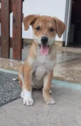 Sol