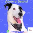 Benito
