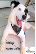Benito