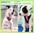 Benito