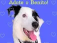 Benito