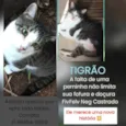 TIGRÃO