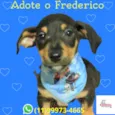 Frederico 