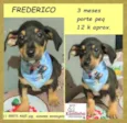 Frederico 