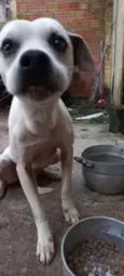 Garaa