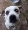 Garaa