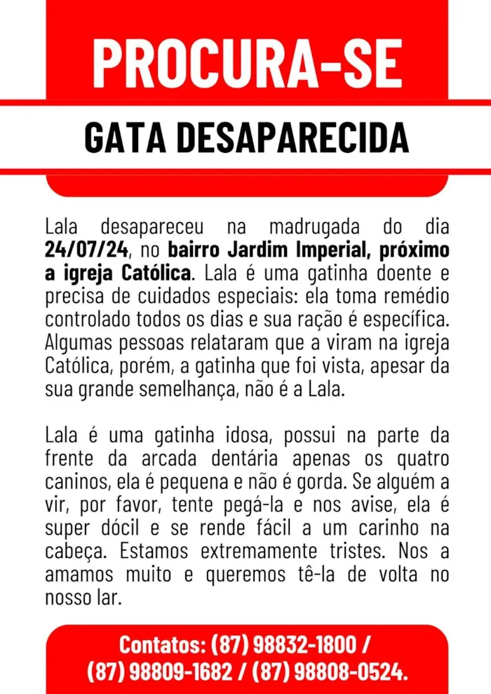 Gato ra a SRD-ViraLata idade 6 ou mais anos nome Lála