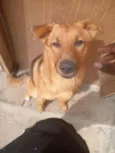 Luck