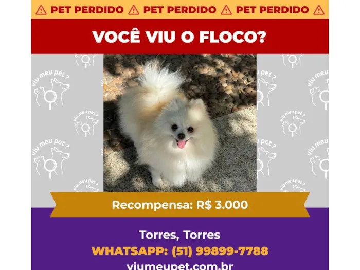 Cachorro ra a SRD-ViraLata idade 6 ou mais anos nome Floco