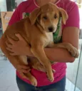 Camila e pitanga