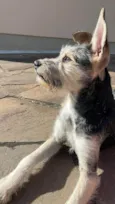 Nina