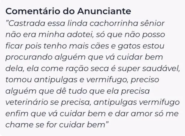 Cachorro ra a Pinscher idade 6 ou mais anos nome Faísca 