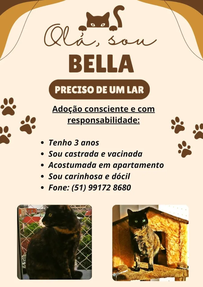 Gato ra a SRD-ViraLata idade 3 anos nome Bella