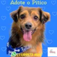 Pitico