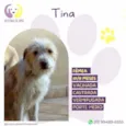 Tina