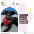 Kika