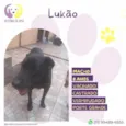 Lukao