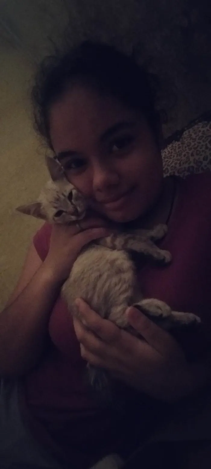 Gato ra a SRD-ViraLata idade 2 a 6 meses nome Branco, bibou, tailung, tigresa e Baguera 