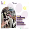 Nina