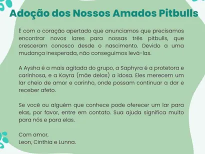 Cachorro raça Pit-Bull idade 6 ou mais anos nome Três Pitbulls fêmeas