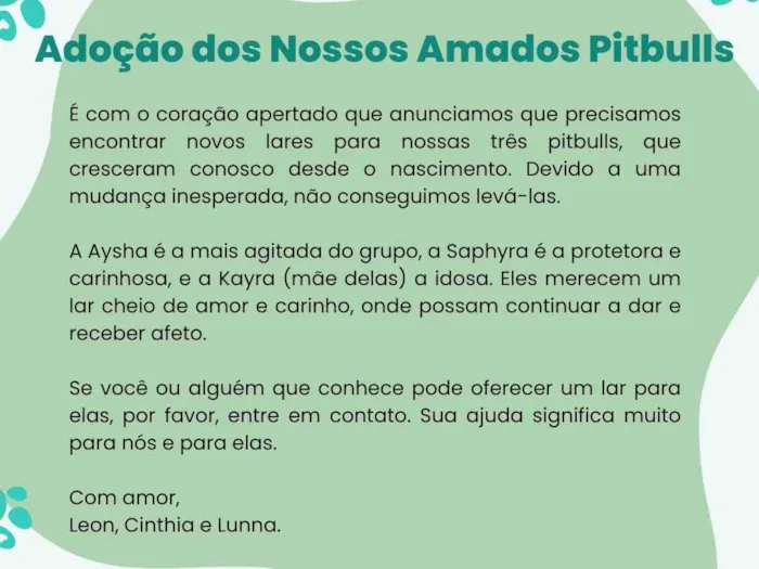 Cachorro ra a Pit-Bull idade 6 ou mais anos nome Três Pitbulls fêmeas