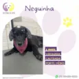 Neguinha