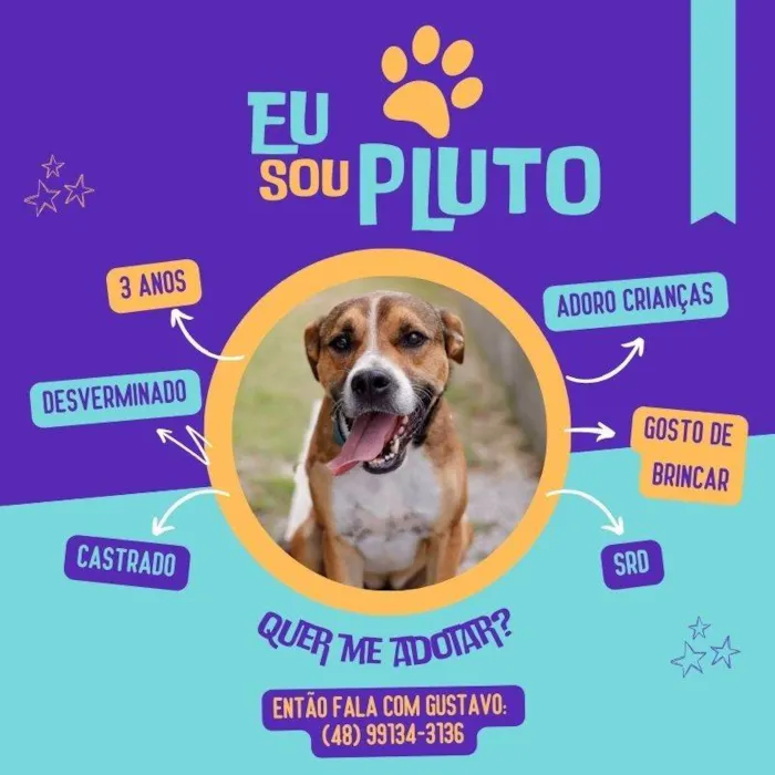 Cachorro ra a SRD-ViraLata idade 3 anos nome Pluto