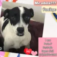 Penélope